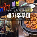 해가쭈꾸미 이미지