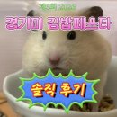 [공지] 🍙 제3회 2026 경기미 김밥 페스타 솔직후기 및 TIP