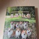 8코기네 이미지
