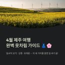자락협재 | 4월 제주도 여행 완벽 준비! 실시간 날씨 예보와 장소별 맞춤 옷차림 가이드