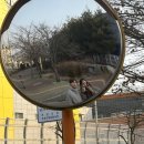 토닥토닥오정공원점 네이버블로그