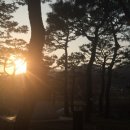 진천경희한의원 이미지