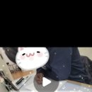 연일 초등학교 병설유치원 이미지