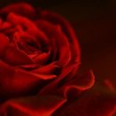 양양고등학교 이미지