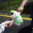 자장자장민박 이미지