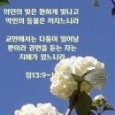 그리다시스