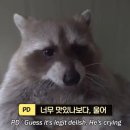 태권치킨