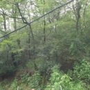 김화읍사무소 이미지