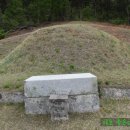 반남박씨박원도묘 이미지