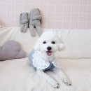 카페토리 이미지