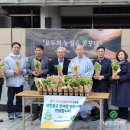 한빛복지재단 | [기부] 사회복지 협의회 한빛 복지재단 관문사 모종기부 후기 / 재배의정석 / 딸기 모종 / 토마토 모종