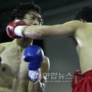 광주 권투체육관 이미지