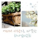 선한 사마리아인[안상홍님과 어머니하나님께서 사랑하시는 하나님의교회,김주철목사] 이미지