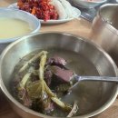 [맛집] 공주 알밤 육회비빔밥 허영만 식객 "시장정육점식당" 후기