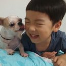 푸른 꿈나무의 집 이미지