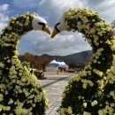 거창창포원 문화광장 이미지