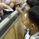 이마트 트래더스 이미지