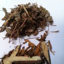 반포자이한의원 이미지