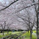 대평프라자 이미지