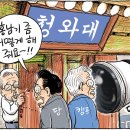 11월 17일 이미지