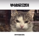 5월.(3) 틀림없이 행복해진다.