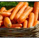 굿바디핏 이미지