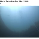 블루로그를 위한 미친 프리다이빙~ 세계 신기록 수립~ 이미지