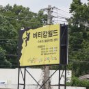 버티칼월드 이미지