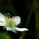 그렇게 다시 이미지