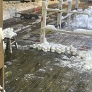 곰돌이당구장 이미지