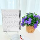 (주)디자인스트림 | 시편4편 성경필사 4일차| 내돈내산 헬로키티 제트스트림과 헬로키티 노트 솔직후기 ✍️