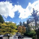 다산식자재마트 수동점 | 서울근교 장박캠핑장 남양주 휴림캠핑장 장박비용 사이트 편의시설