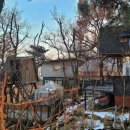 나무집 펜션 이미지