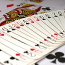 스페이드 킹(Spade king) | 브리지 용어