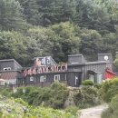 두바이애견풀빌라2 이미지