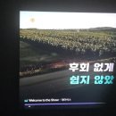 닥터스시 | 9월 둘째주 도경동 갓덴스시 닥터블릿 푸응마이너스카페 후기