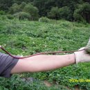 연욱농장 이미지