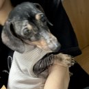 군도4호 | 12월(4)_바다와 우주를 다 더한 것보다 여전하고 영원한 건 너의 의미