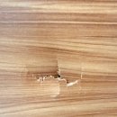 포레스트문 | 천안 인테리어 필름 아산 배방 장재리 포레스트힐 문콕 문파손 원상복구 부분 시공 후기