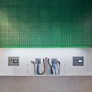 동물친구들 애견미용실 이미지