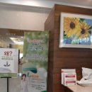 바른이플란트치과의원 이미지