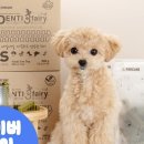 매일덴탈 이미지