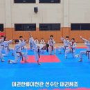 고려라온태권도장 이미지