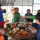 김대식농장 이미지