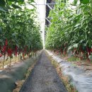 찬들농장 이미지