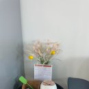 라베풀빌라 이미지