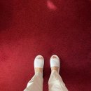 레스테호텔 | 연말 서울 호캉스 추천! 레스케이프 호텔 아틀리에 킹 스위트룸 후기 (명동,회현역 근처)