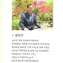 양민주