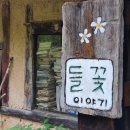 들꽃이야기 이미지