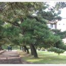 상주고등학교 이미지